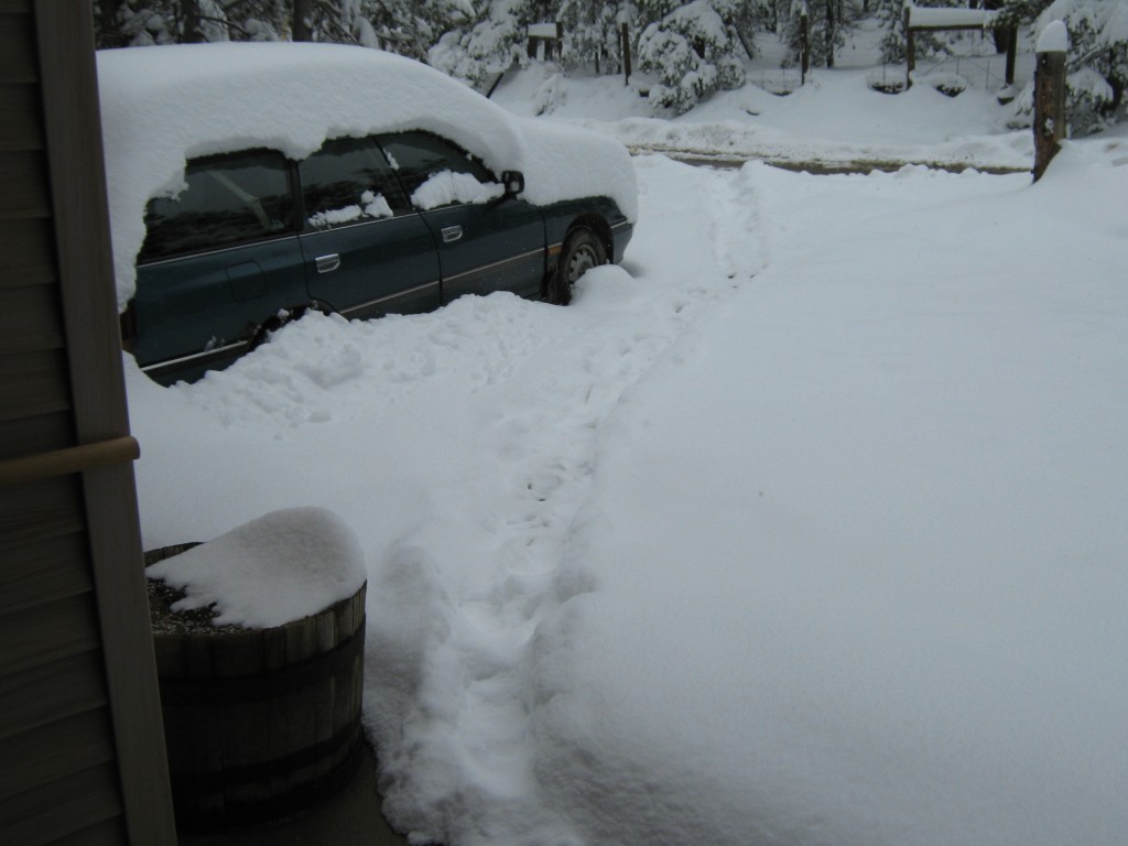 Unshoveled driveway