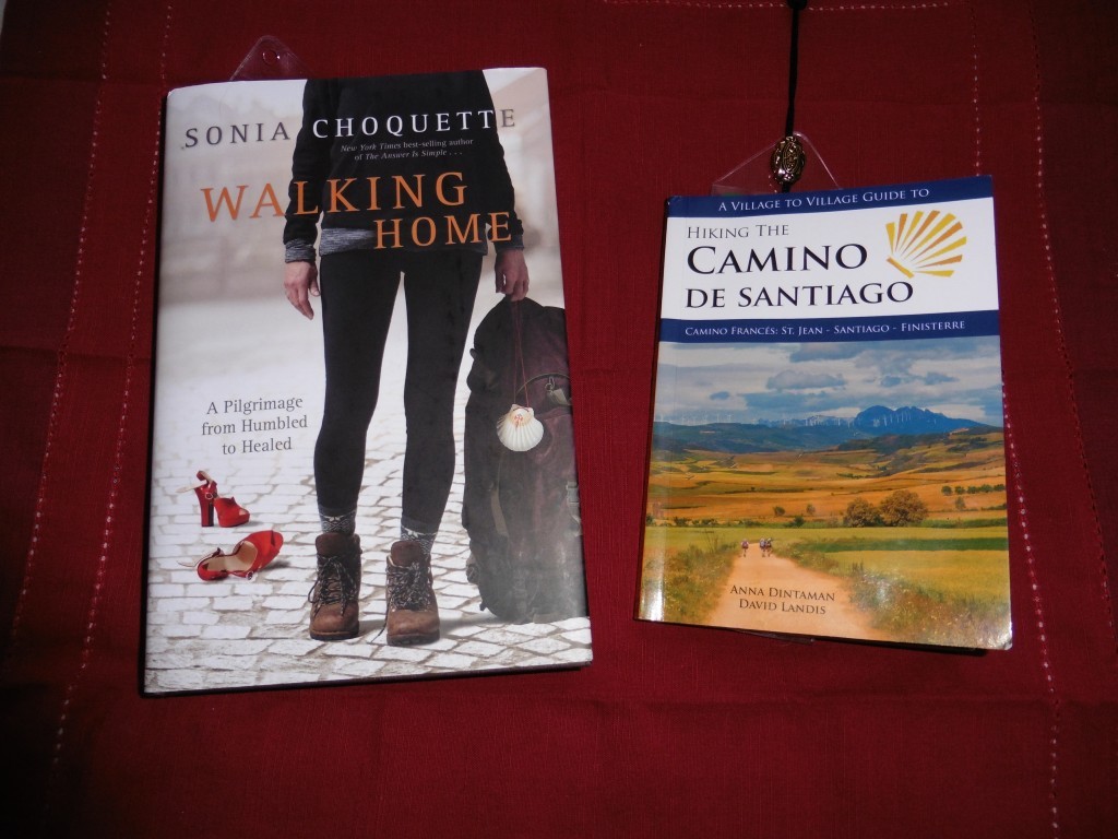 Camino de Santiago books.