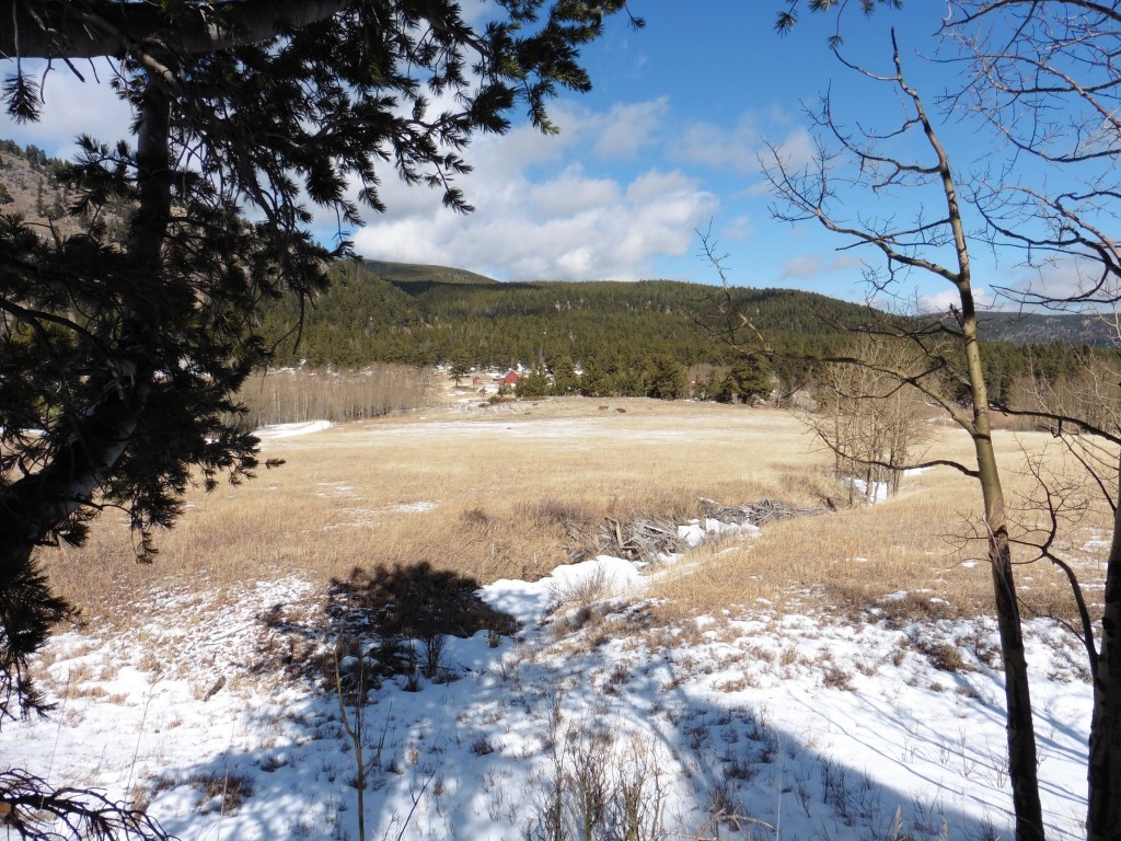 View from Dad's bench site.