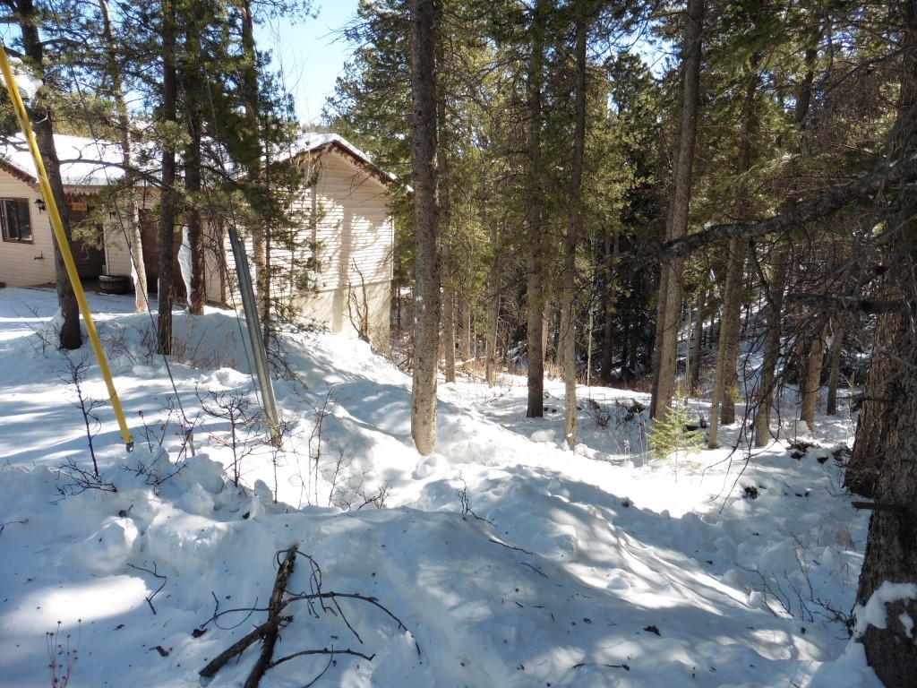 Driveway's snow dump.