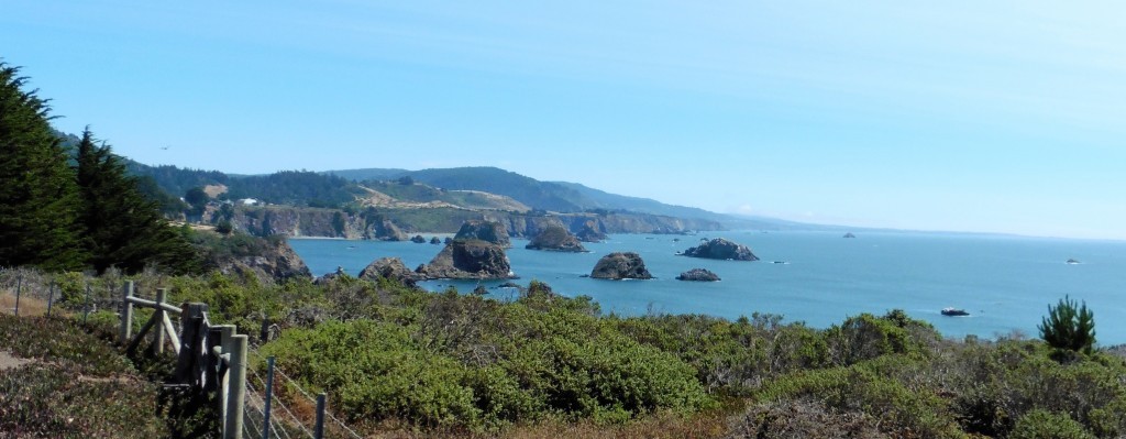 Mendocino County coast.  I love the variety of landscapes along the coast, with hills behind, wave-cut terraces & bluffs, pocket beaches below, and sea stacks right offshore.  And the salty air, aaahh.