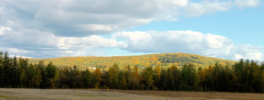 Birch Hill as seen from Creamers Field, from the west. The last of the Canada geese are passing through Creamer's, so we walk there to enjoy them before they leave us for the long winter. I've been walking the cross-country ski trails at Birch Hill since the mosquitos and rain left. Every day the colors change. Autumn is already turning into Fall, sigh---ah, but with such a luminous blaze of golden glory!