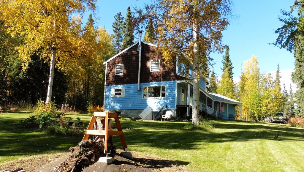 My house with lawn and trees at their best. The little stand in the foreground is for a mini-house for garden tools that David will paint to match the big house. His peony plots are just to the left. While I have walked, he has been happily gardening to his heart's content.