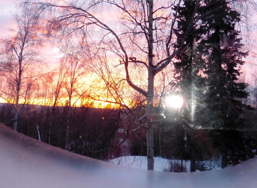 View south-east from my upstairs office window, near solstice. (Sunrise near 11AM!!) The dry warm winter has left my window less frosted than usual. Watching the sun rise before lunch is an awe- inspiring "activity."